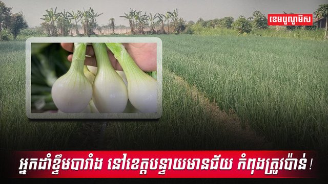 វិស័យកសិកម្ម