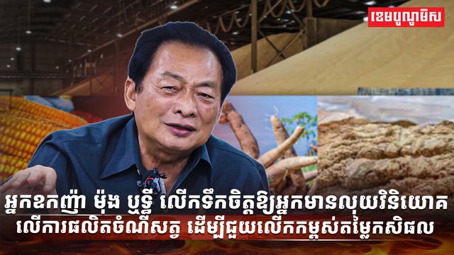 វិស័យកសិកម្ម