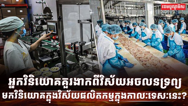 វិស័យអចលនទ្រព្យ