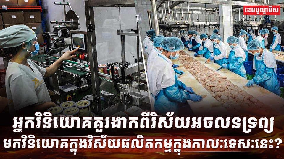 វិស័យអចលនទ្រព្យ