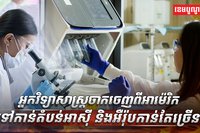 វិស័យវិទ្យាសាស្ត្រ