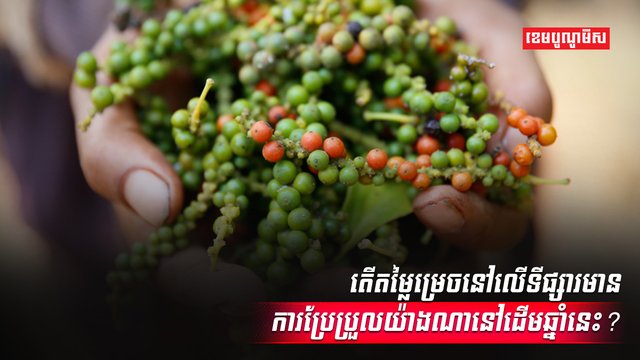 ទីផ្សារម្រេច