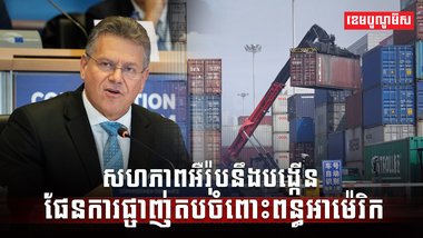 ពន្ធបដិការ