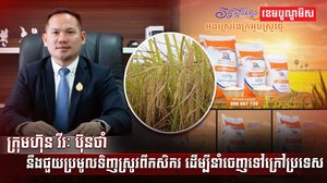 វិស័យកសិកម្ម