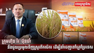 វិស័យកសិកម្ម