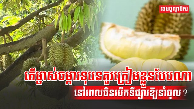 វិស័យកសិកម្ម