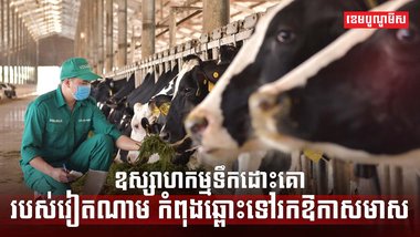 ទីផ្សារទឹកដោះគោ