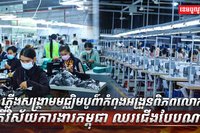 វិស័យការងារ