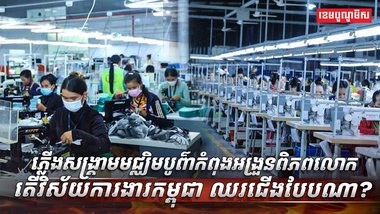 វិស័យការងារ