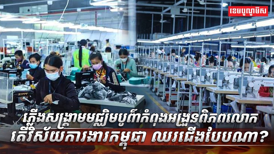 វិស័យការងារ