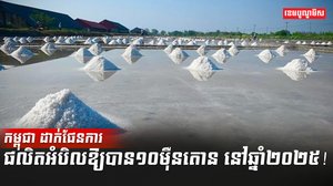 ស្រែអំបិល