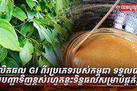 ផលិតផល​ GI​