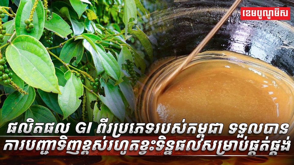 ផលិតផល​ GI​
