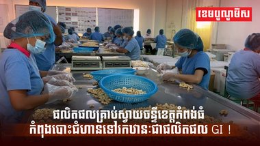 ស្វាយចន្ទី