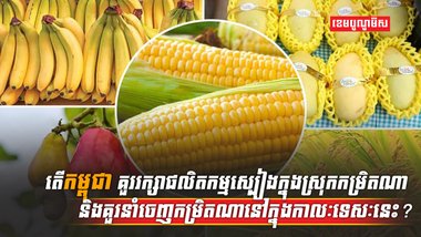 សន្តិសុខស្បៀង