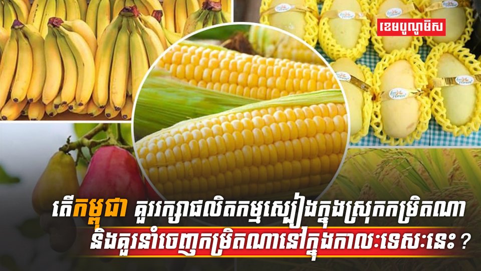 សន្តិសុខស្បៀង