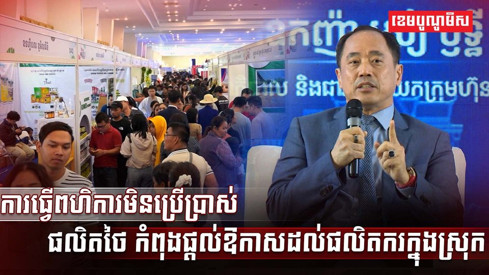 វិស័យ SME