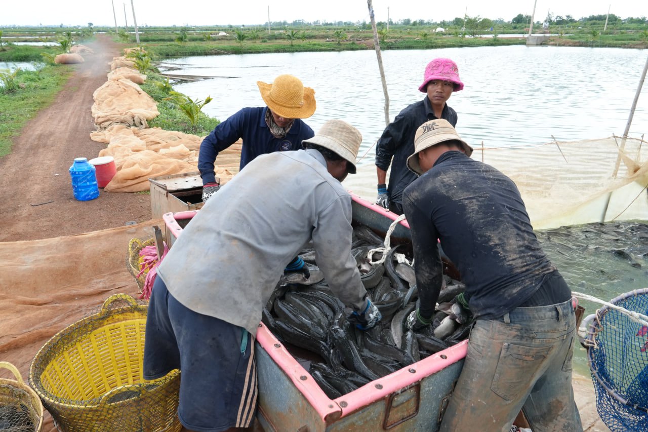 ឯកឧត្តមឧបនាយករដ្ឋមន្រ្តីប្រចាំការ វង្សី វិស្សុត