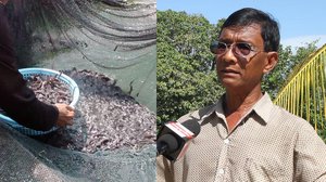 កសិករមួយរូបនៅខេត្តតាកែវបង្កាត់ពូជត្រីលក់ រកចំណូលបានខ្ទង់សែនដុល្លារក្នុងមួយឆ្នាំ