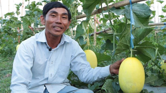 កសិពាណិជ្ជករ ប៊ូ ម៉ាន៖ ខ្ញុំដាំដំណាំដែលគេមិនសូវដាំ ព្រោះមិនសូវលំបាកនឹងការប្រជែងទីផ្សារ