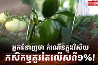 វិស័យកសិកម្ម