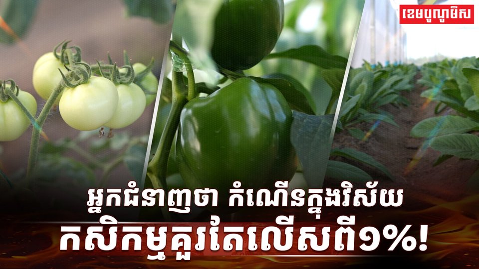 វិស័យកសិកម្ម