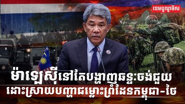 វិស័យការបរទេស