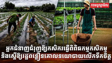 វិស័យពាណិជ្ជកម្ម