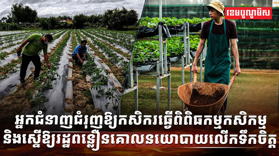 វិស័យពាណិជ្ជកម្ម