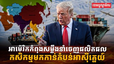 វិស័យកសិកម្ម