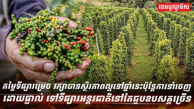 តម្លៃទីផ្សារម្រេច