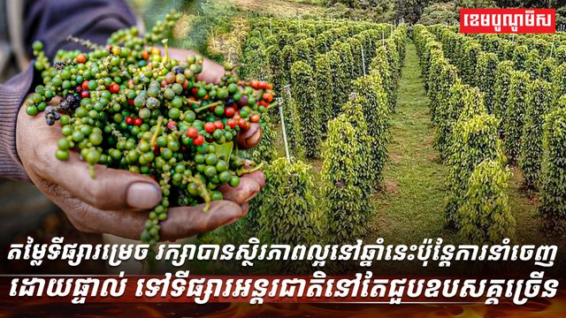 តម្លៃទីផ្សារម្រេច