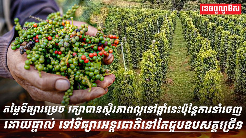 តម្លៃទីផ្សារម្រេច