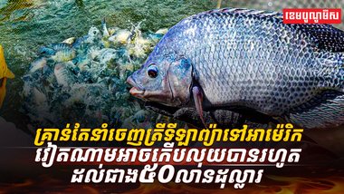 ត្រីទីឡាព្យ៉ា