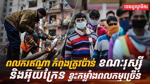 វិស័យការងារ