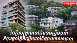 វិស័យអចលនទ្រព្យ