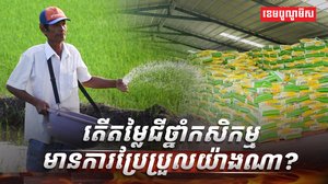 តម្លៃជីថ្នាំកសិកម្មហក់ឡើង៣០%