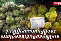 ដំណាំទុរេន