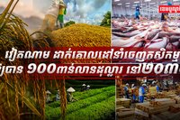 វិស័យកសិកម្ម
