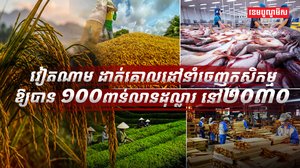 វិស័យកសិកម្ម