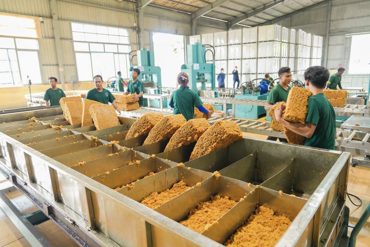 ឯកឧត្តមឧបនាយករដ្ឋមន្រ្តីប្រចាំការ វង្សី វិស្សុត