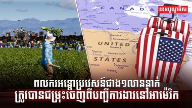 វិស័យការងារ