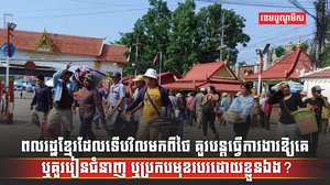 វិស័យការងារ