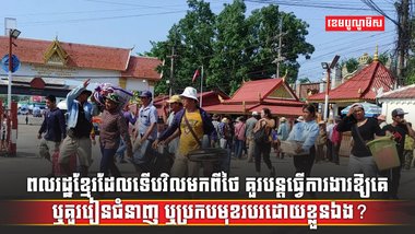 វិស័យការងារ
