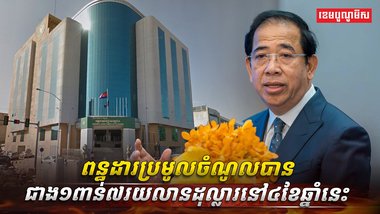 វិស័យពន្ធដារ