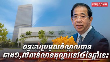 វិស័យពន្ធដារ
