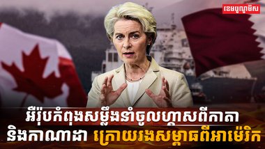 វិស័យថាមពល