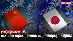 ក្រុមហ៊ុនចែកចាយបន្ទះឈីប