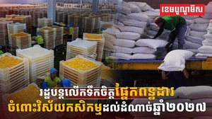 វិស័យកសិកម្ម