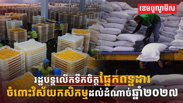 វិស័យកសិកម្ម